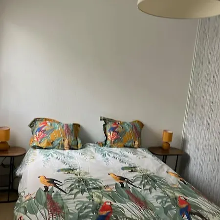 Appartementt2 A 2 Pas Du Circuit Le Mans